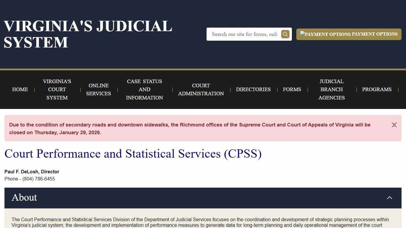 Court Performance and Statistical Services (CPSS) Virginia Court System